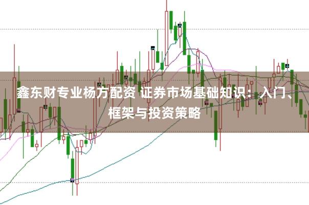 鑫东财专业杨方配资 证券市场基础知识：入门、框架与投资策略
