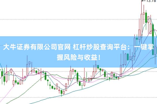 大牛证券有限公司官网 杠杆炒股查询平台：一键掌握风险与收益！