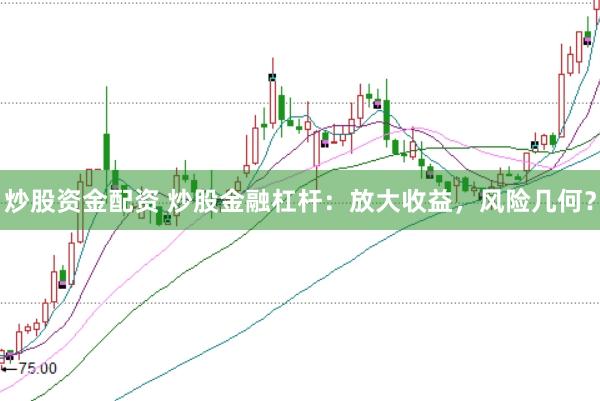 炒股资金配资 炒股金融杠杆：放大收益，风险几何？