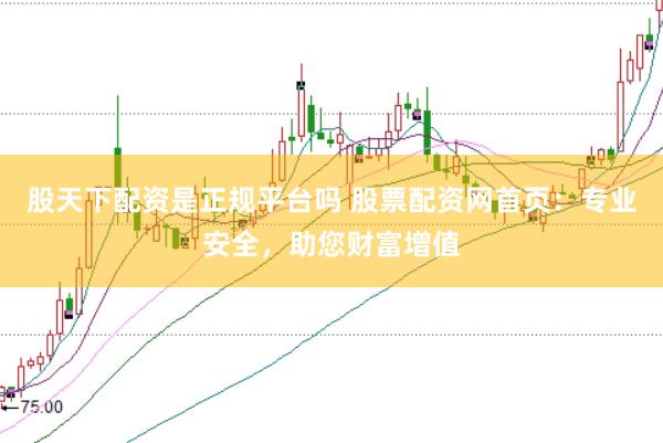 股天下配资是正规平台吗 股票配资网首页：专业安全，助您财富增值