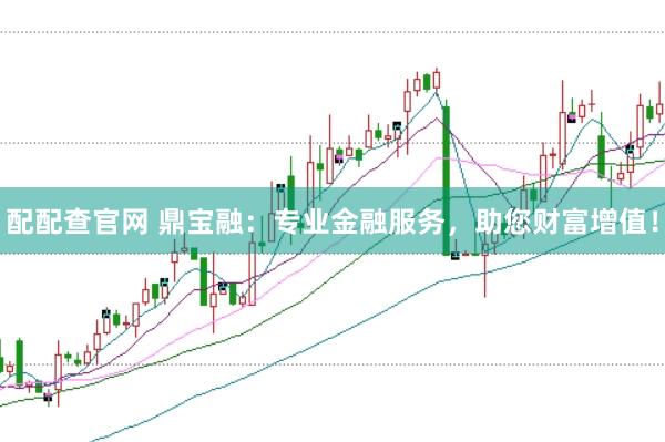 配配查官网 鼎宝融：专业金融服务，助您财富增值！